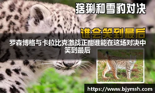 罗森博格与卡拉比克激战正酣谁能在这场对决中笑到最后